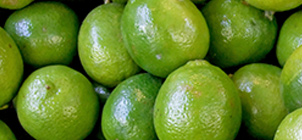 ingredient2
